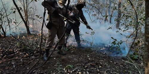 Governo reforça ações de combate ao fogo no Pantanal