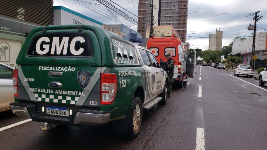 Efetivo é mobilizado após homem em surto quebrar vidros no Centro