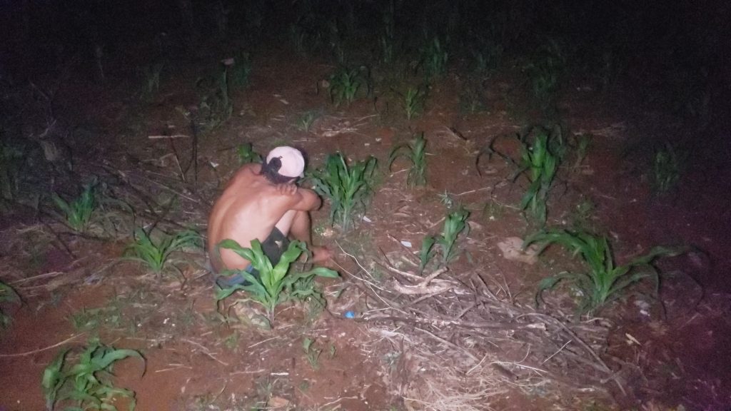 Jovem é contido por moradores no Cascavel Velho ao pular muro para furtar fios