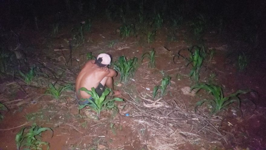 Jovem é contido por moradores no Cascavel Velho ao pular muro para furtar fios