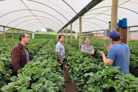Imagem referente a Projeto de pesquisa vai testar tecnologia para reduzir perda de água na irrigação