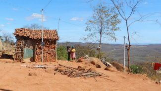 Produção agrícola quilombola ganha selo de certificação de origem