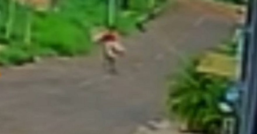 Câmera flagra suspeito de furto de televisor no Belmonte
