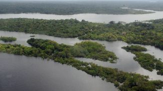 Militares dos Estados Unidos serão treinados na Amazônia