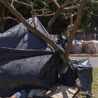 Imagem referente a Proteção à população de rua é prioridade para políticas públicas