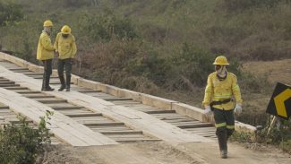 Incêndios em Mato Grosso e Mato Grosso do Sul estão controlados