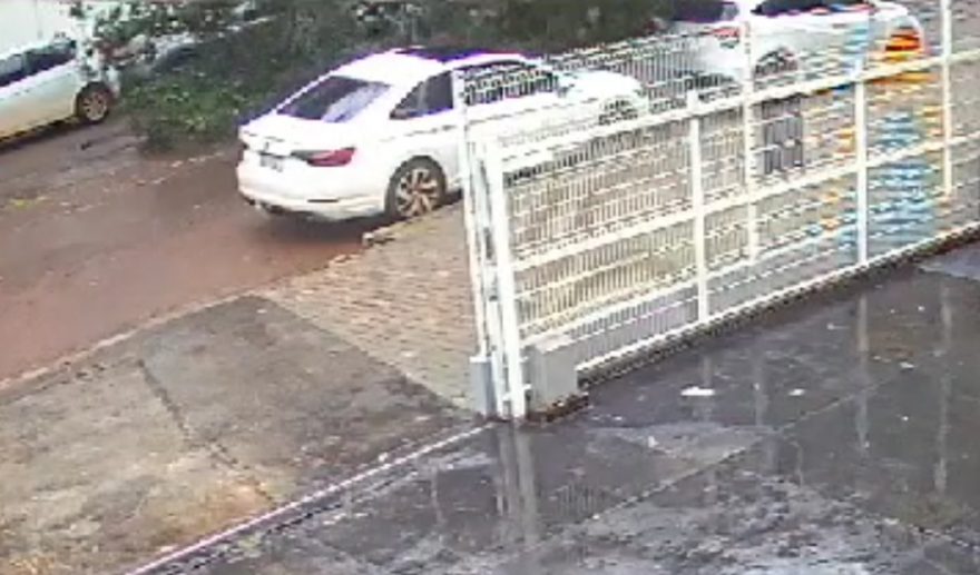 Vídeo mostra momento em que árvore cai na Rua Juscelino Kubitscheck