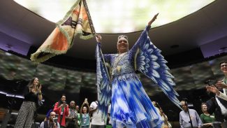 Porta-bandeira da Portela sofre racismo em aeroporto, denuncia família