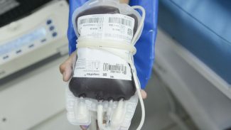 Aplicativo facilitará doações de sangue no Brasil