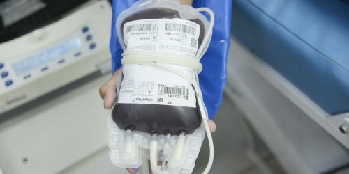 Imagem referente a Aplicativo facilitará doações de sangue no Brasil