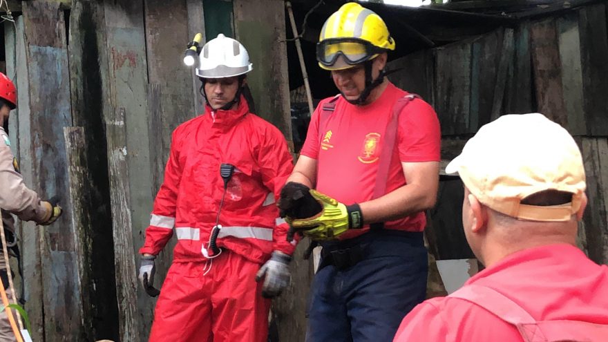 Bombeiros salvam cachorrinho que caiu em fossa no Bairro Brasmadeira