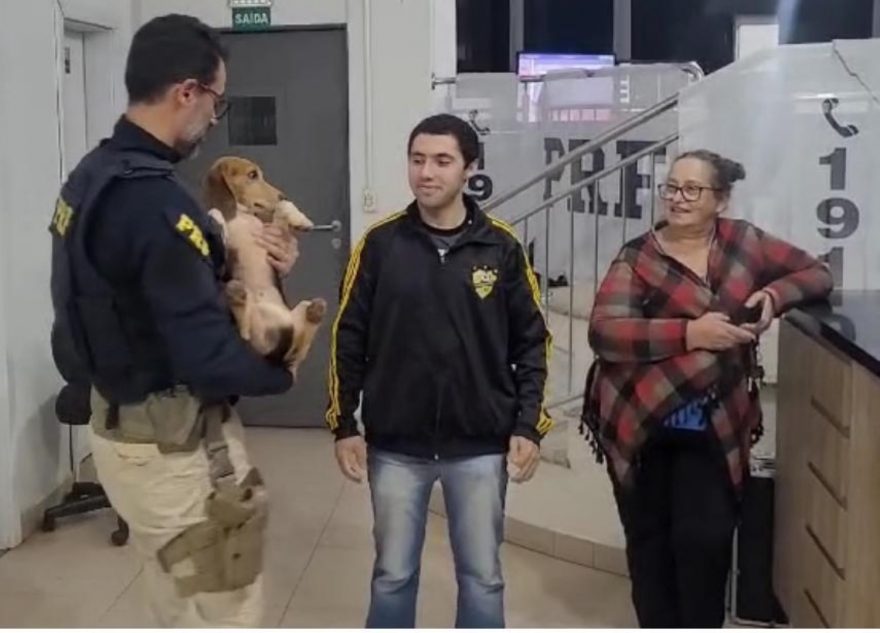 PRFs promovem encontro entre tutores e cachorro após dois anos