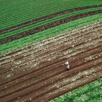 Prêmio Orgulho da Terra 2023 será entregue a 21 personalidades nesta quinta