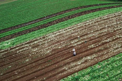 Prêmio Orgulho da Terra 2023 será entregue a 21 personalidades nesta quinta