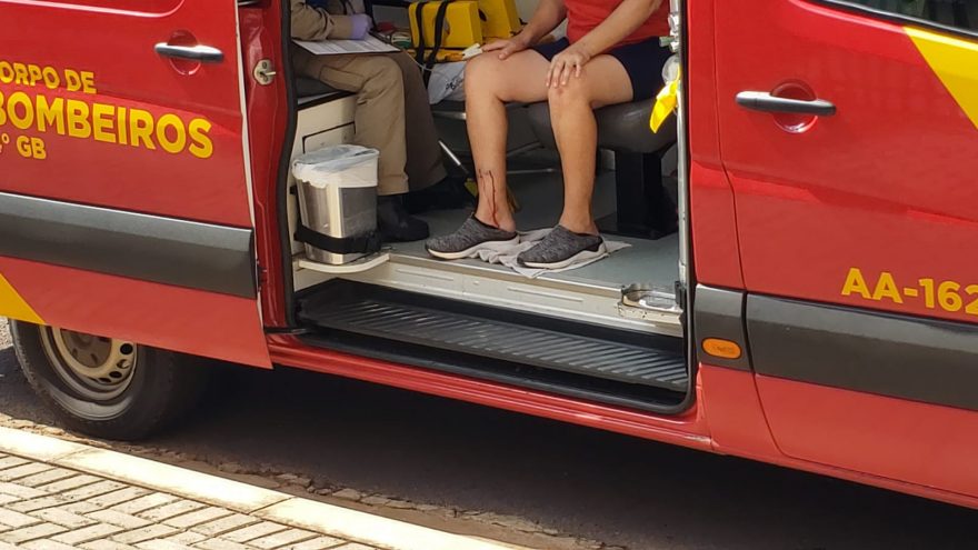 Para salvar gato, mulher enfrenta cachorro e acaba ferida