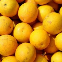 Paraná reforça orientações para combater o greening na citricultura
