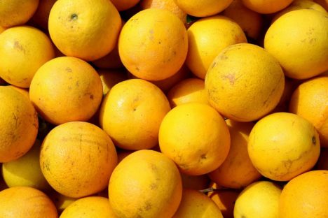 Paraná reforça orientações para combater o greening na citricultura