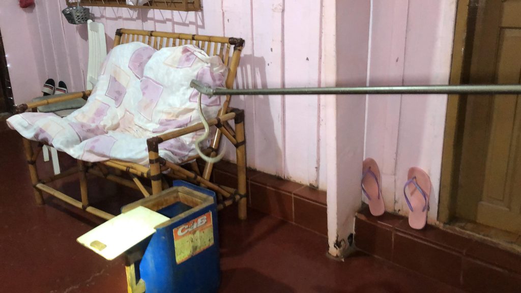 Cobra Jararaca é encontrada em casa no Santa Felicidade
