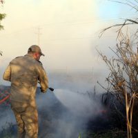 Sancionada lei que institui programa para expandir apoio dos bombeiros aos municípios