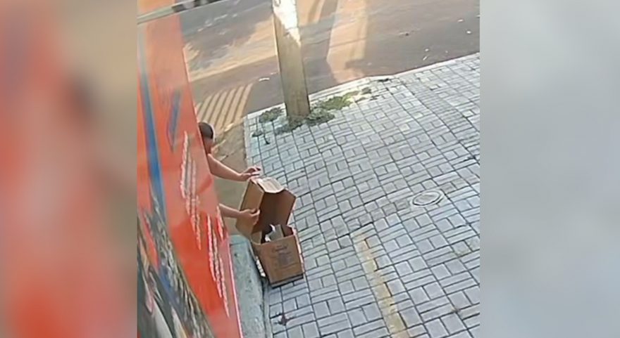 Repugnante: Mulher é flagrada abandonando gato dentro de caixas no Centro de Cascavel