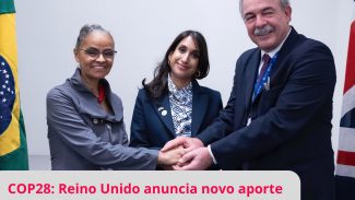 Reino Unido anuncia mais R$ 215 milhões para o Fundo Amazônia