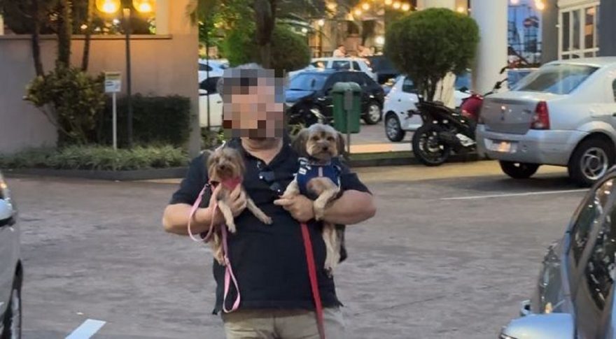 Tutor aparece após deixar dois cachorrinhos trancados dentro do carro