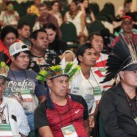 Conselho dos Povos Indígenas do Paraná elege primeiros representantes da história