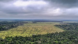 Estudo quer fim do desmatamento legal para zerar gases estufa no país 