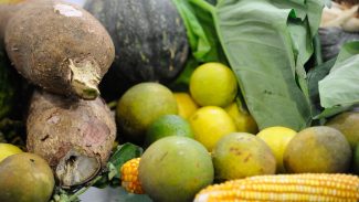 Agrotóxicos: 25% dos alimentos de origem vegetal no país têm resíduos