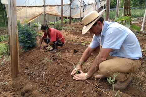 Trabalho de 700 extensionistas impulsiona pesquisa e produção agropecuária no Paraná