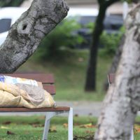 Imagem referente a Senado aprova bolsa de qualificação para população em situação de rua