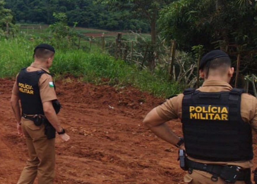 Gado furtado em Jesuítas é encontrado pela PM em Iguatu