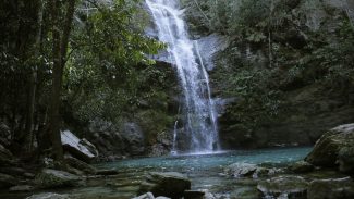 Governo relança Quilombo das Américas com foco ambiental