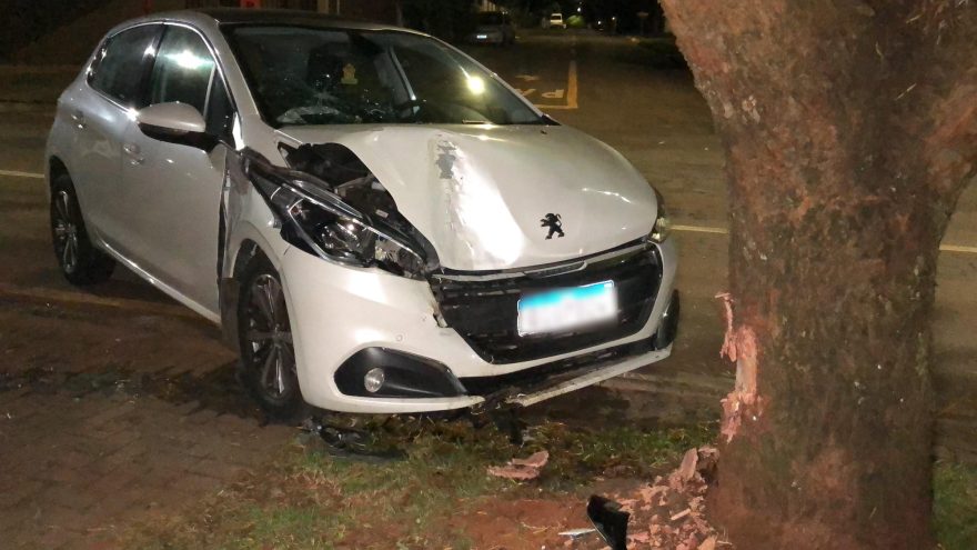 Peugeot 208 colide contra árvore no Parque Verde