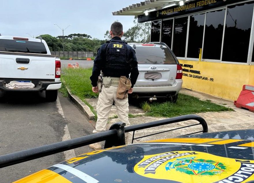 Carga de 1,7 tonelada de camarão é apreendida em Guarapuava