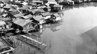 Museu da Maré, no Rio, terá acervo na internet com mais de mil itens