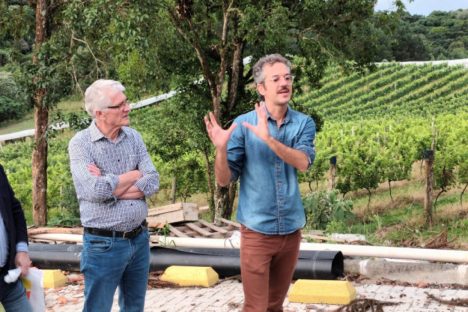 Revitalização da vitivinicultura paranaense é destaque em evento internacional