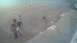 Vídeo mostra mulher na companhia de três homens horas antes de ser morta no Parque Tarquínio