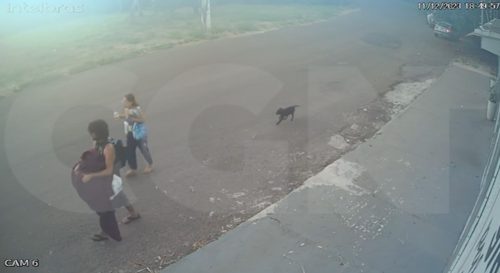 Imagem referente a Vídeo mostra mulher na companhia de três homens horas antes de ser morta no Parque Tarquínio