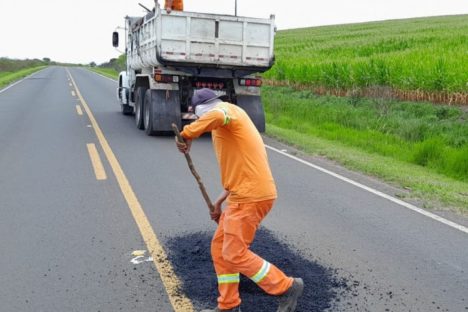Manutenção rodoviária na PR-151, nos Campos Gerais, tem boa avaliação nacional