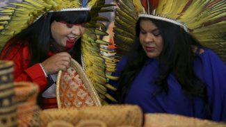 Brasília recebe a maior feira de arte indígena já realizada no país