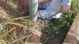 Fios de semáforo do viaduto do XIV de Novembro foram furtados, provocando acidente com vítima