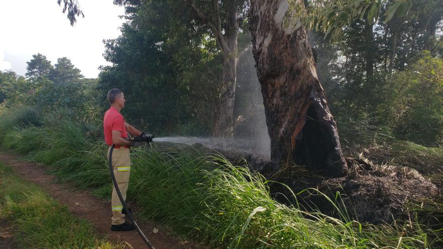Bombeiros combatem incêndio em vegetação no Turisparque