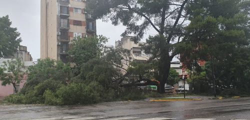 Tempestade furiosa em Buenos Aires: Vento de 130 km/h derruba árvores e fecha Aeroporto em noite de caos
