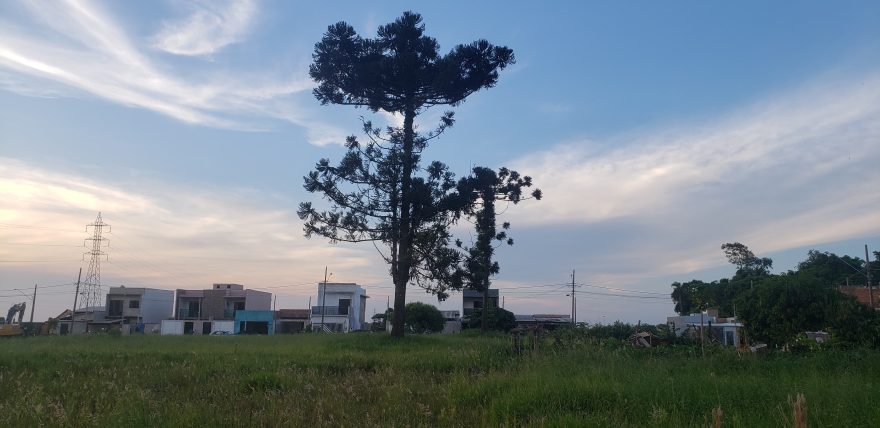Moradores do Siena colhem assinaturas contra doação de lote para construção de casas populares
