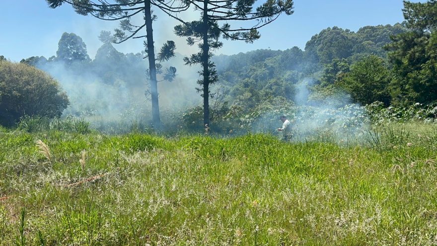 Incêndio em vegetação começa a tomar grandes proporções na Região do Brasília