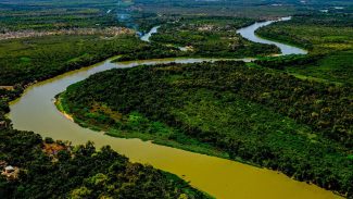 Lei do Pantanal é sancionada para garantir conservação do bioma