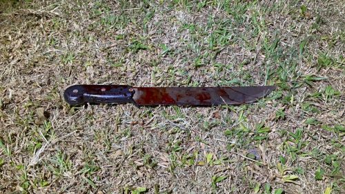 Facão ensanguentado é encontrado em local de agressão no Santa Cruz