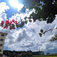 Imagem referente a Terça-feira deve ser quente e abafada em Cascavel com máxima de 28°C