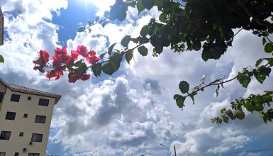 Imagem referente a Quarta-feira deve ser abafada com máxima de 31°C em Cascavel